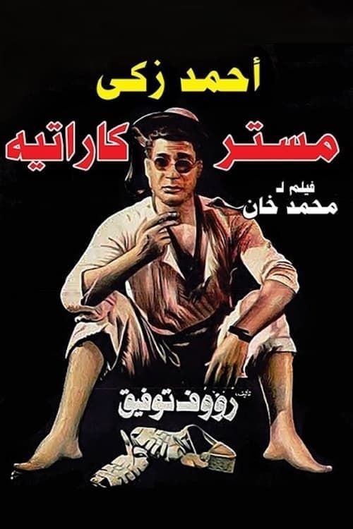 Mr Karate poster