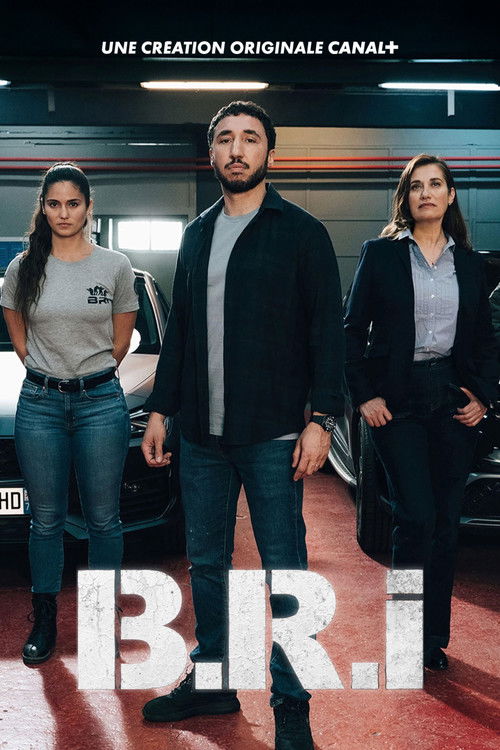 B.R.I. poster