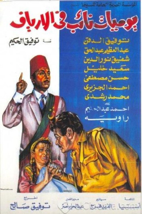 The Diaries of a DA in the countryside. poster