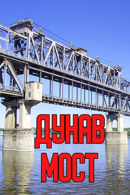 Dunav most poster