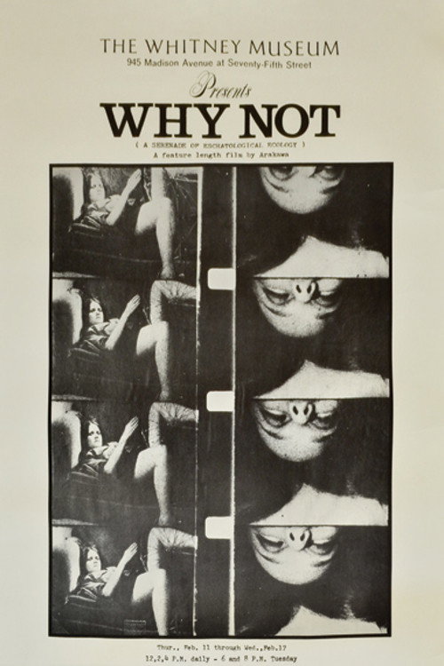 Why Not poster