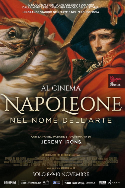 Napoleon - In the Name of Art poster