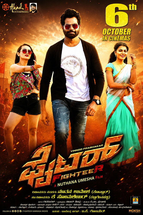 Fighter poster