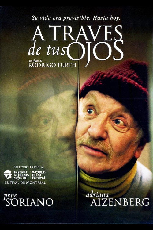 Through Your Eyes poster