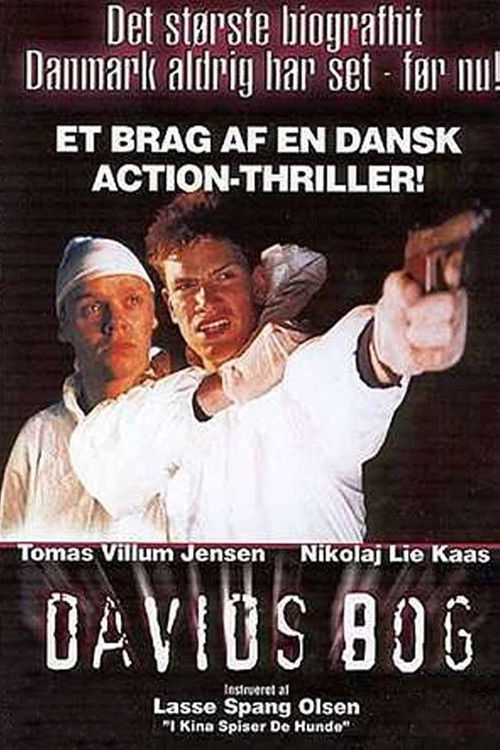 David's Book poster