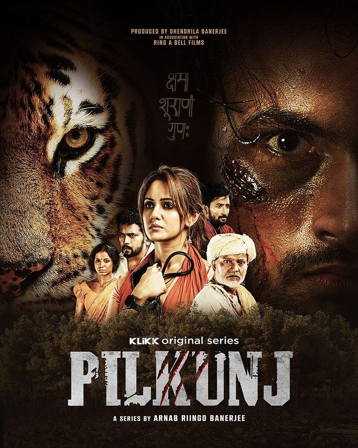 Pilkunj poster