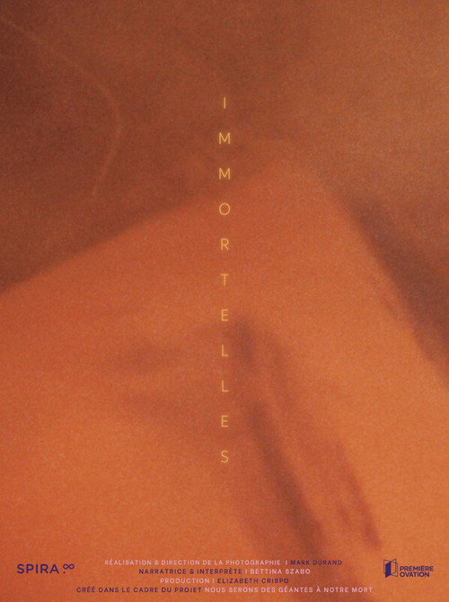 Immortals poster