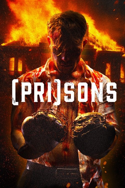 Prisons poster