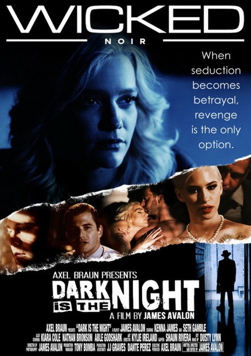Dark Is The Night poster