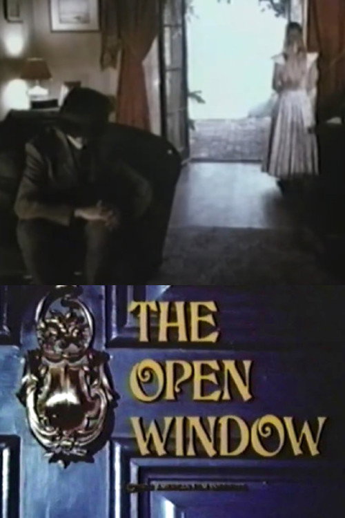 Open Window poster