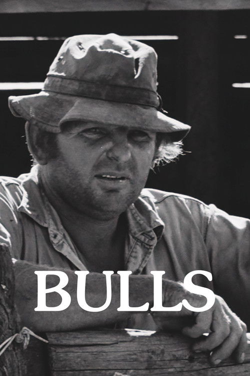 Bulls poster