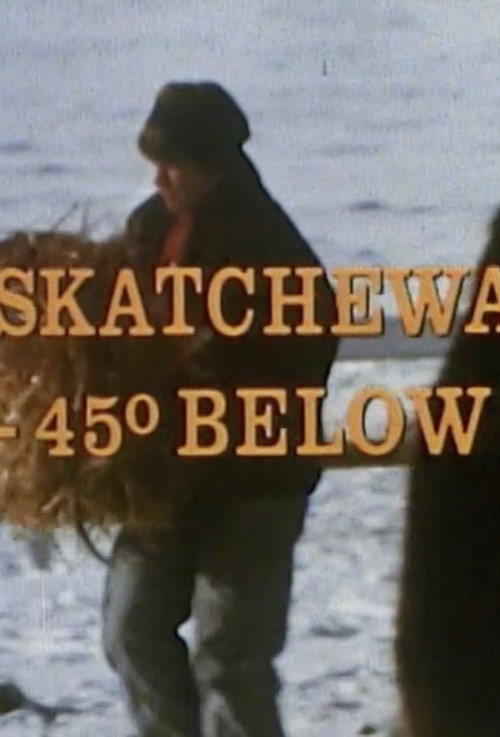 Saskatchewan: 45 Below poster
