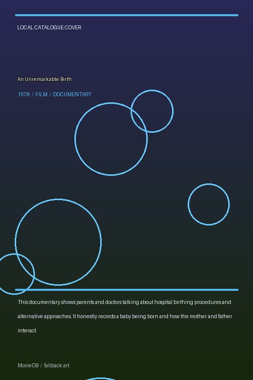 An Unremarkable Birth poster