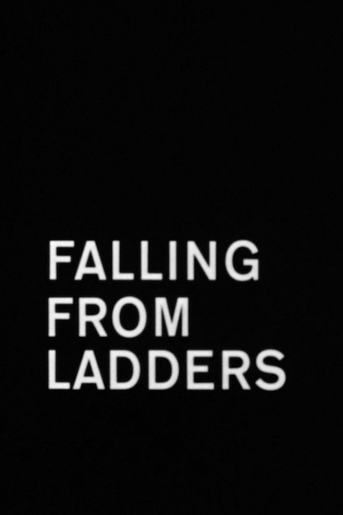 Falling from Ladders poster