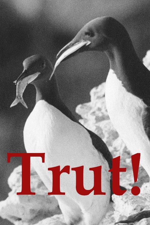Trut! poster