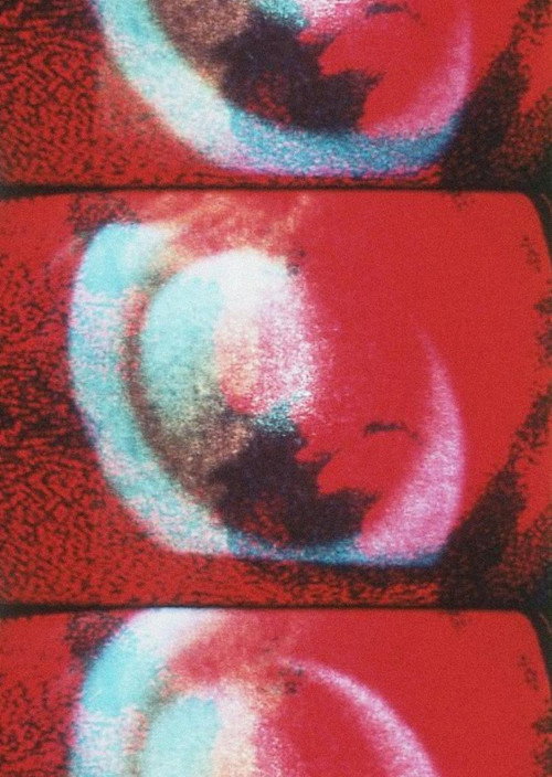 Video Selfportrait poster