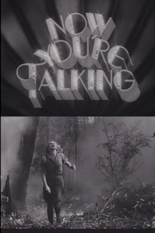 Now You're Talking poster
