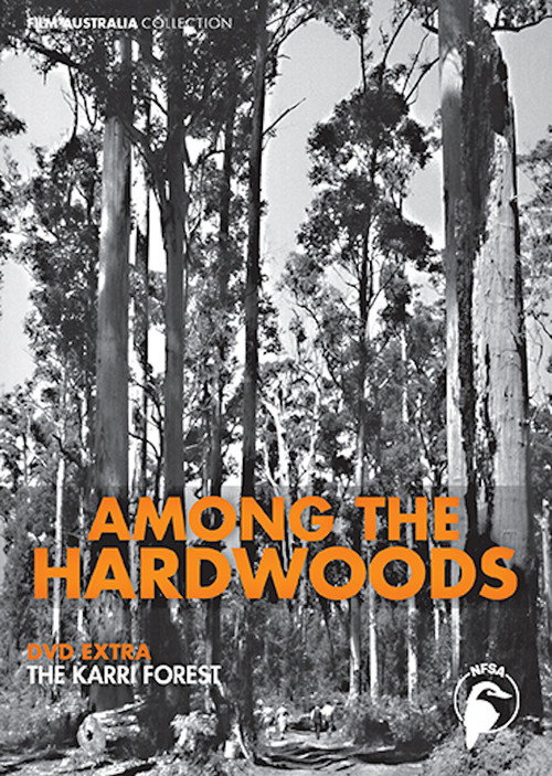 Among The Hardwoods poster