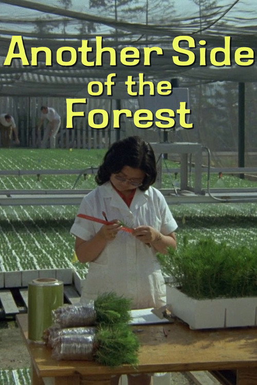 Another Side Of The Forest poster