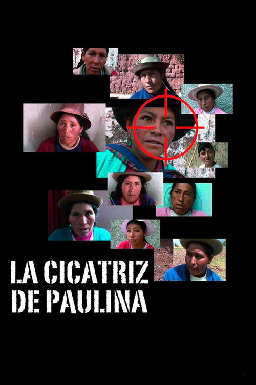 La cicatriz de Paulina poster