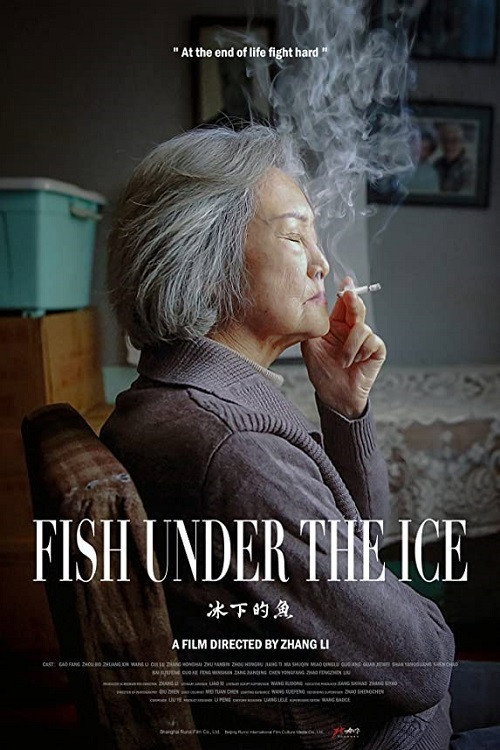 Fish Under The Ice poster