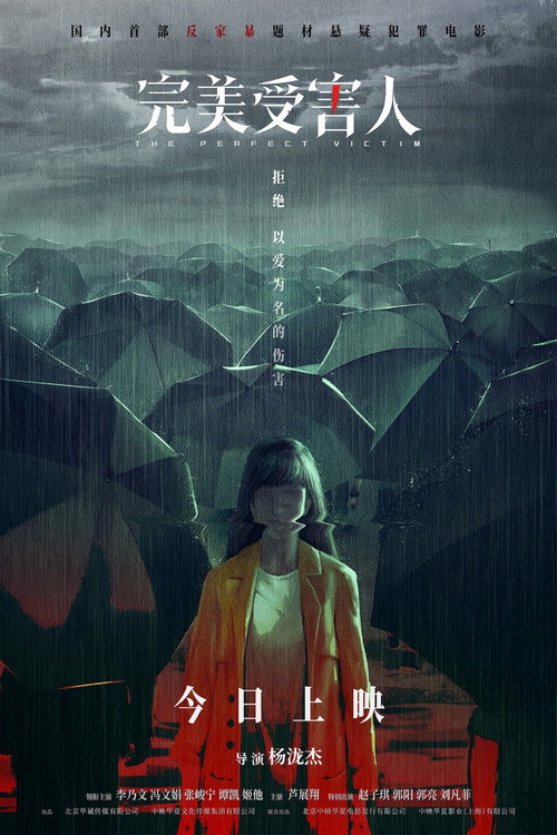 The Perfect Victim poster