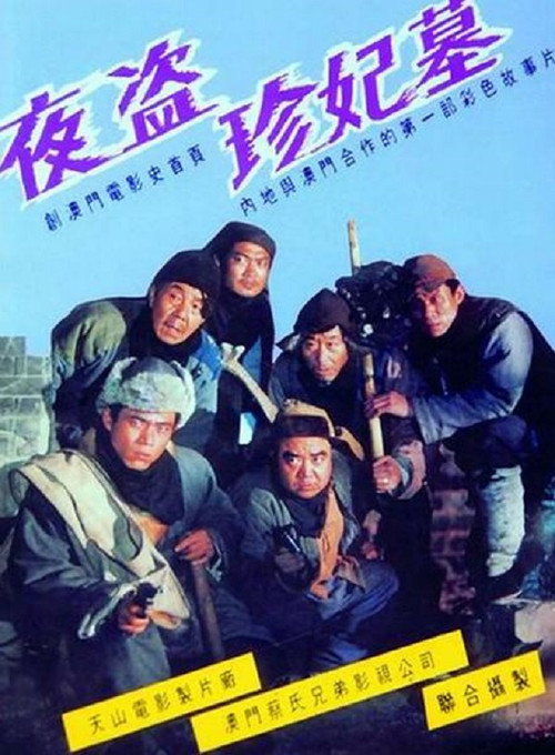 The Night Robbery poster