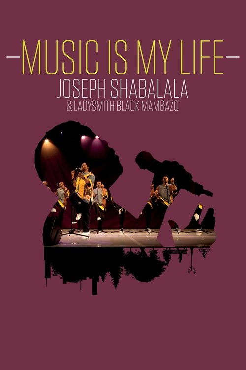Music is My Life poster