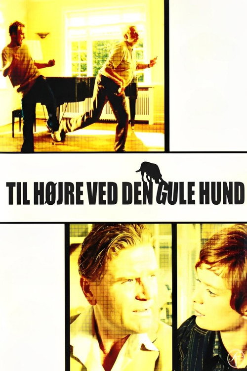 Turn Right by the Yellow Dog poster