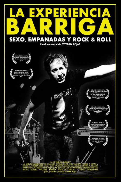 La experiencia Barriga poster