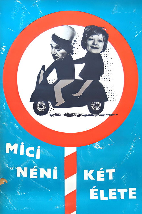 Mici néni két élete poster