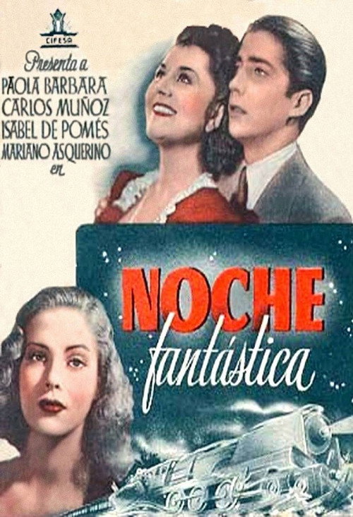 Fantastic Night poster