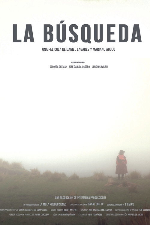 The Search poster
