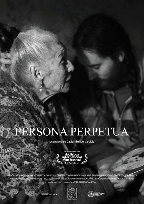 Perpetual Person poster