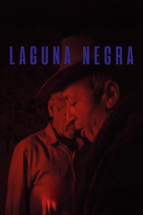 Laguna negra poster