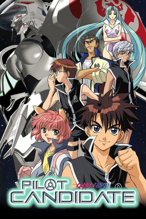 The Candidate for Goddess poster