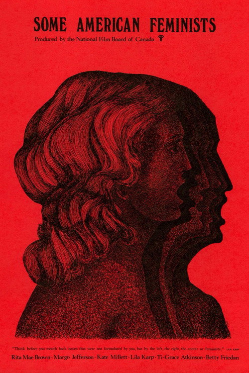 Some American Feminists poster