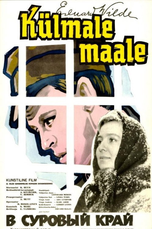 Külmale maale poster