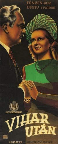 After the Storm poster