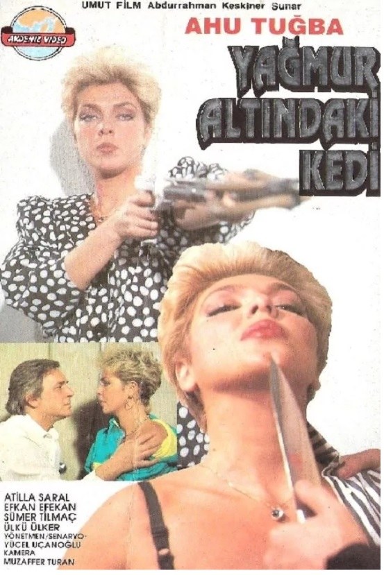 Yağmur Altındaki Kedi poster