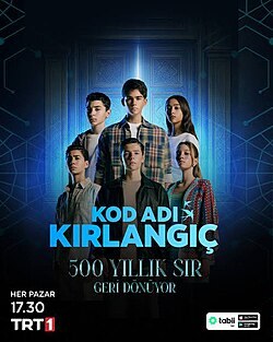 Kod Adı Kırlangıç poster