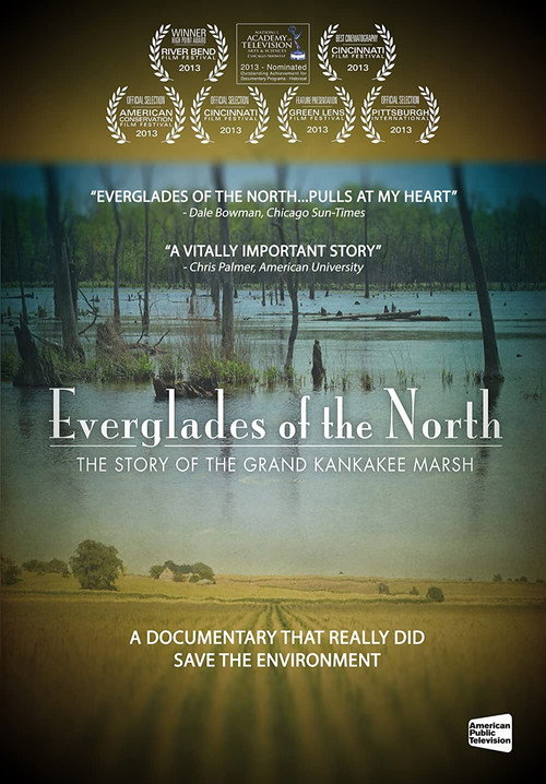 Everglades of the North poster