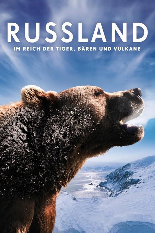 Russland - Im Reich der Tiger, Bären und Vulkane poster