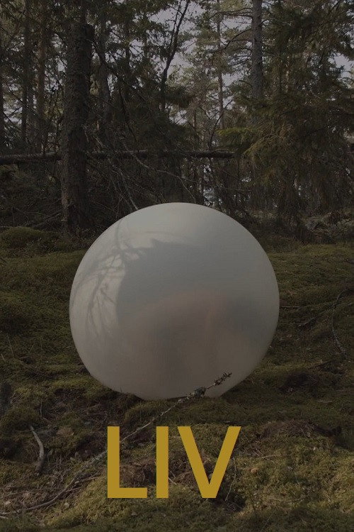 Life poster