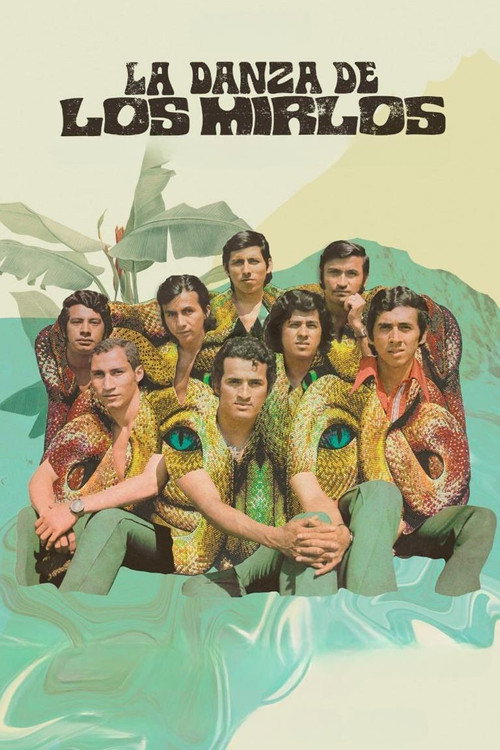 Mirlo's Dance poster