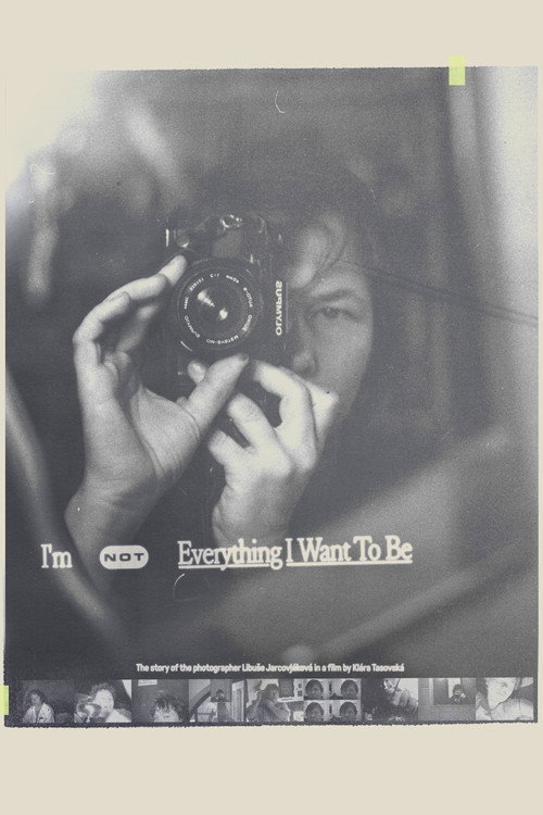 I’m not Everything I Want to Be poster
