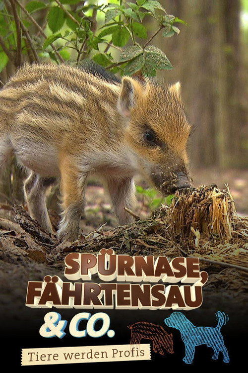 Spürnase, Fährtensau & Co. poster