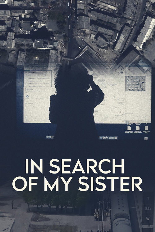 In Search of My Sister poster