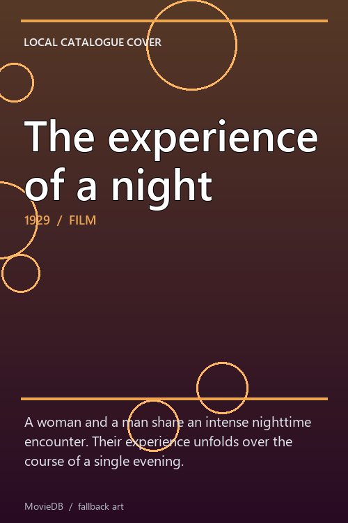 The experience of a night poster