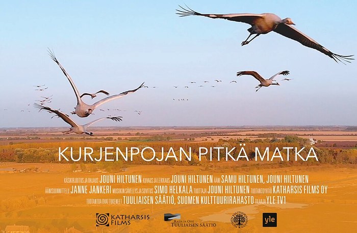 Kurjenpojan pitkä matka poster